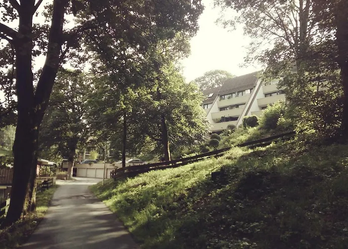 Daire Harzgrün 2 Sankt Andreasberg